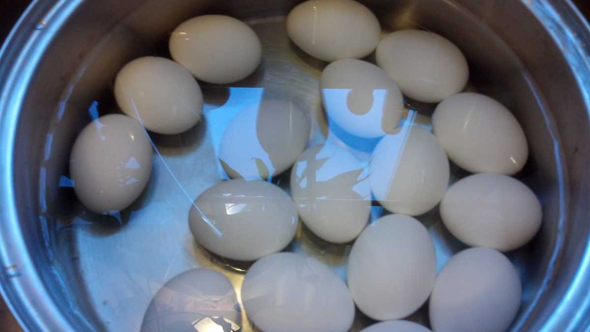 How to peel an egg in 25 seconds or less. And other “eggcellent” tips