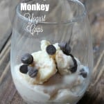 Skinny Monkey Yogurt Cup