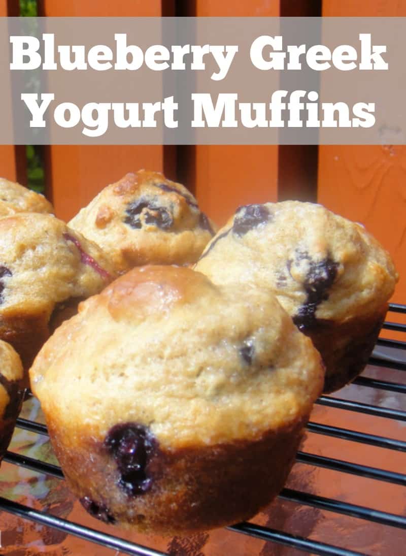 Blueberry muffins made with greek yogurt. Breakfast freezer recipe
