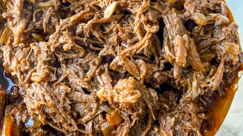 Mexican Shredded Beef