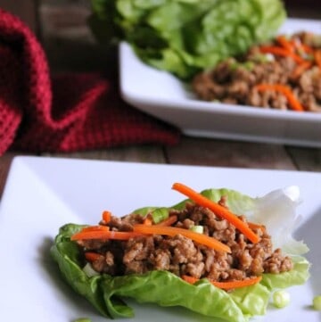 Asian Turkey Lettuce Wraps 171 calories and 5 weight watchers points plus