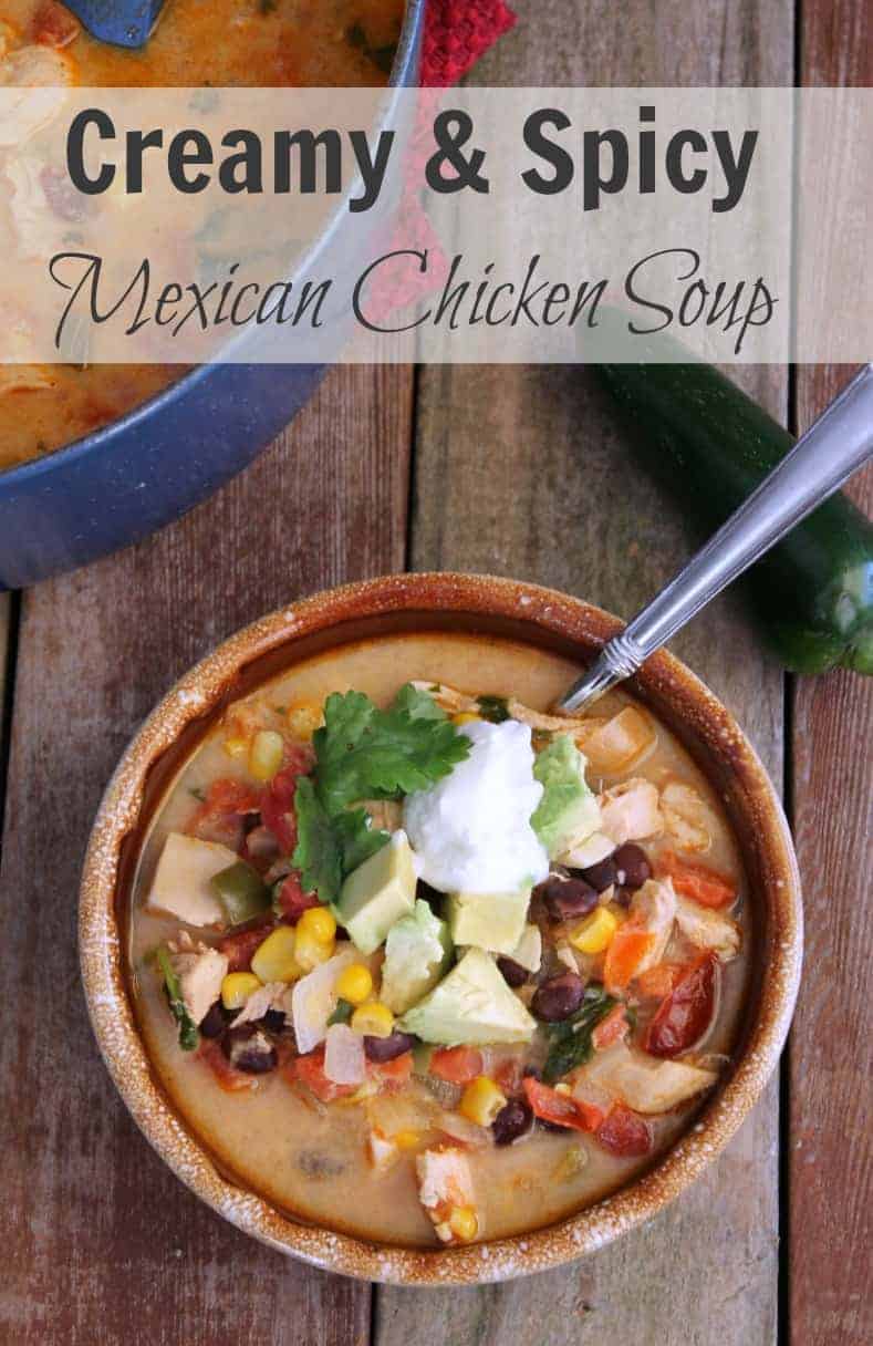 Spicy and Creamy Mexican Chicken Soup 277 Calories and 6 weight watchers points plus