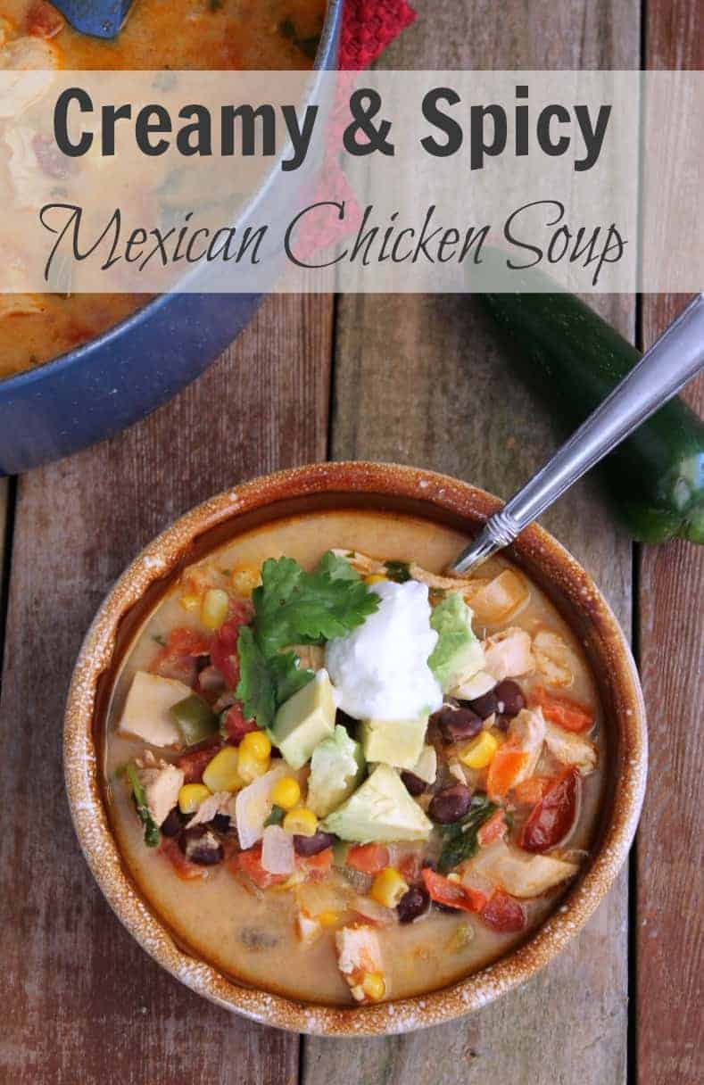 Creamy and Spicy Mexican Chicken Soup