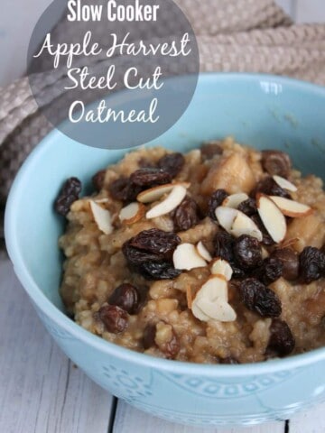 Slow Cooker Apple Harvest Steel Cut Oatmeal