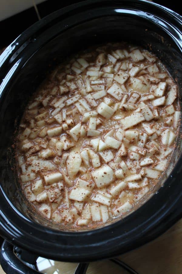 slowcookerapplespice4