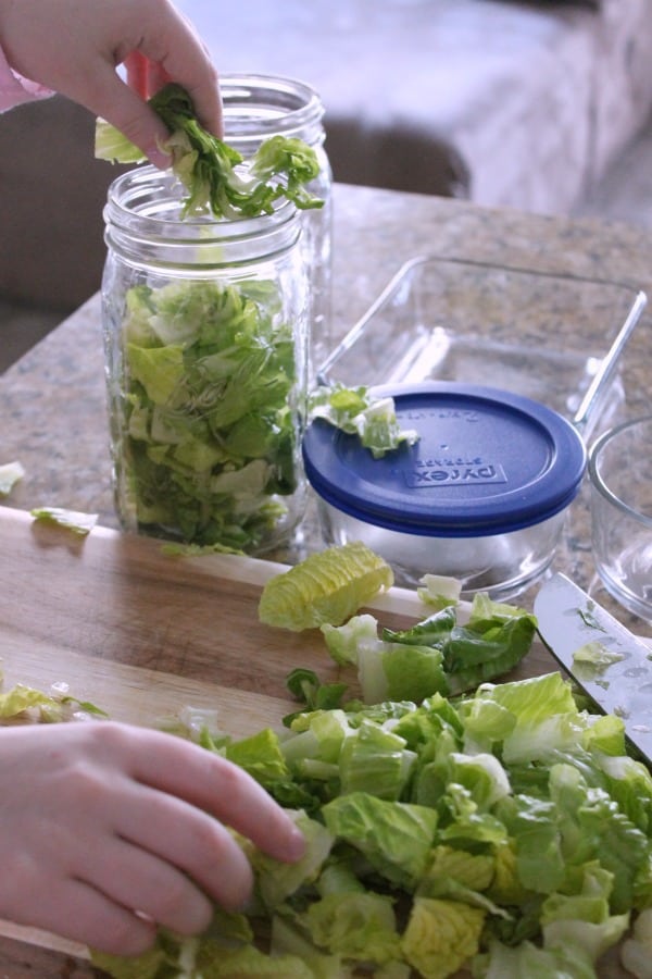 Meal Prep: DIY Salad Bar