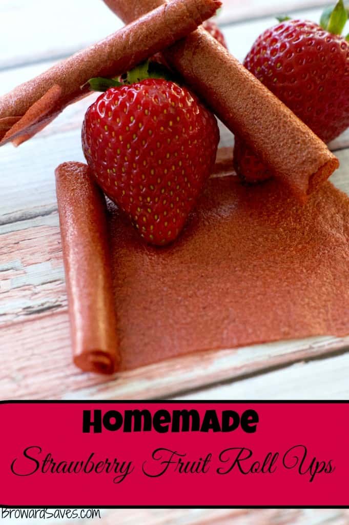 homemade-strawberry-fruit-roll-ups-3-681x1024