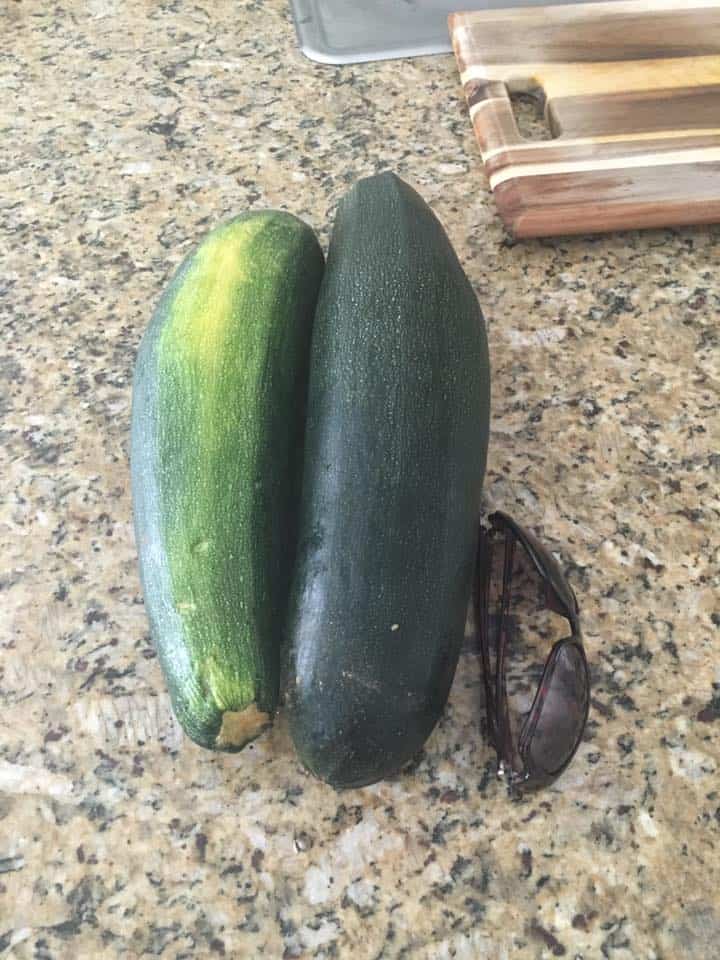 zucchinifbpic