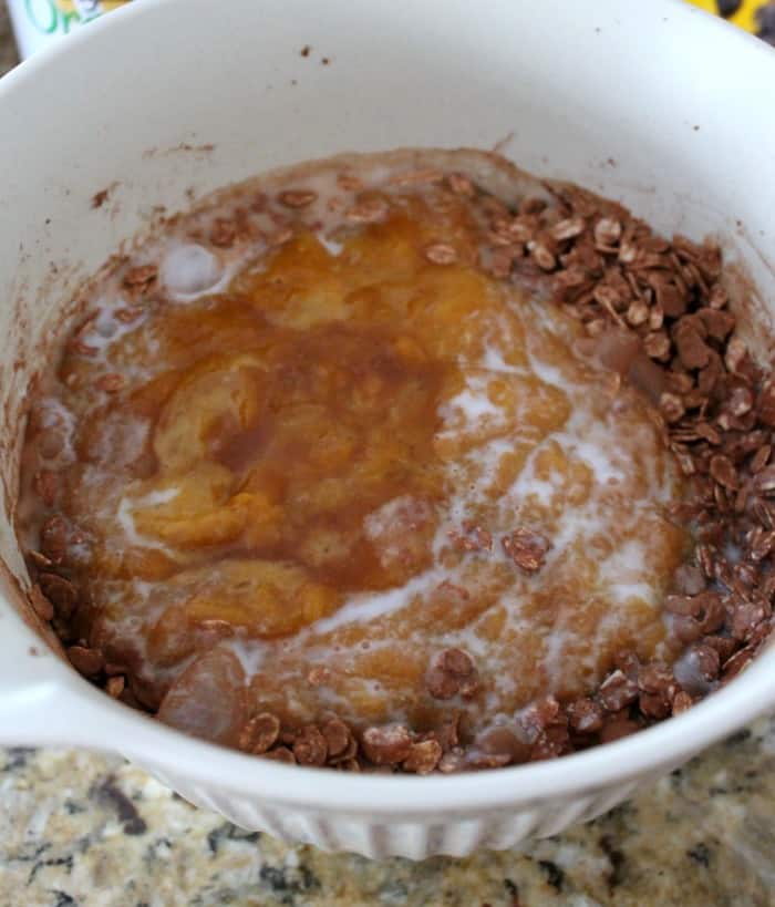 chocolatepumpkinbakedoatmeal6