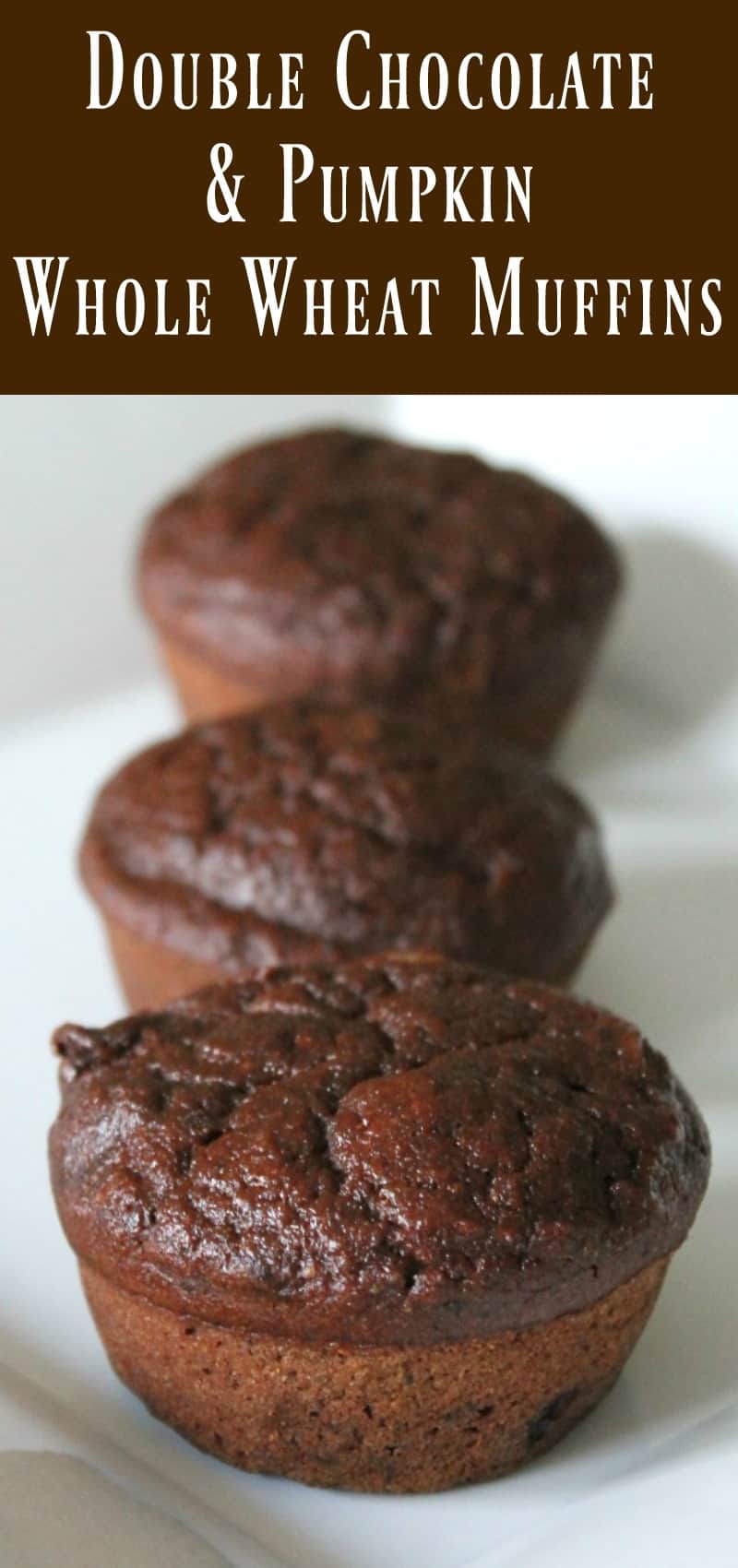 Double Chocolate Pumpkin Muffins. The most delicious chocolate muffin ever!