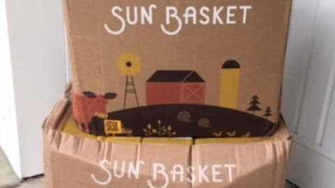 Sun Basket review