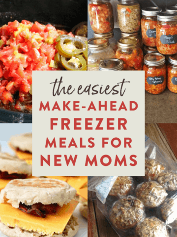 freezer meals for new moms