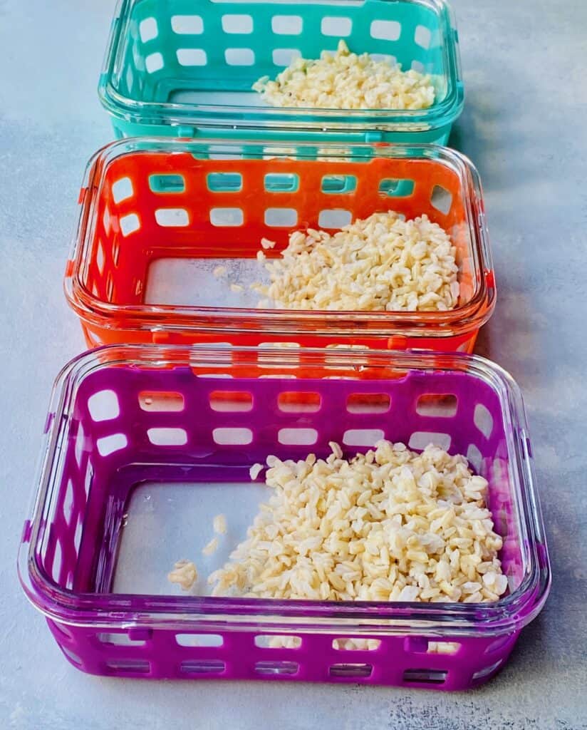 rice in a meal prep bowl