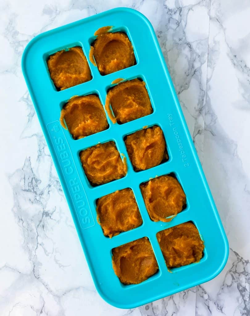 how to freeze canned pumpkin into portions