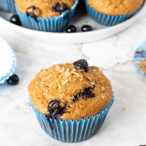 blueberry yogurt greek muffins