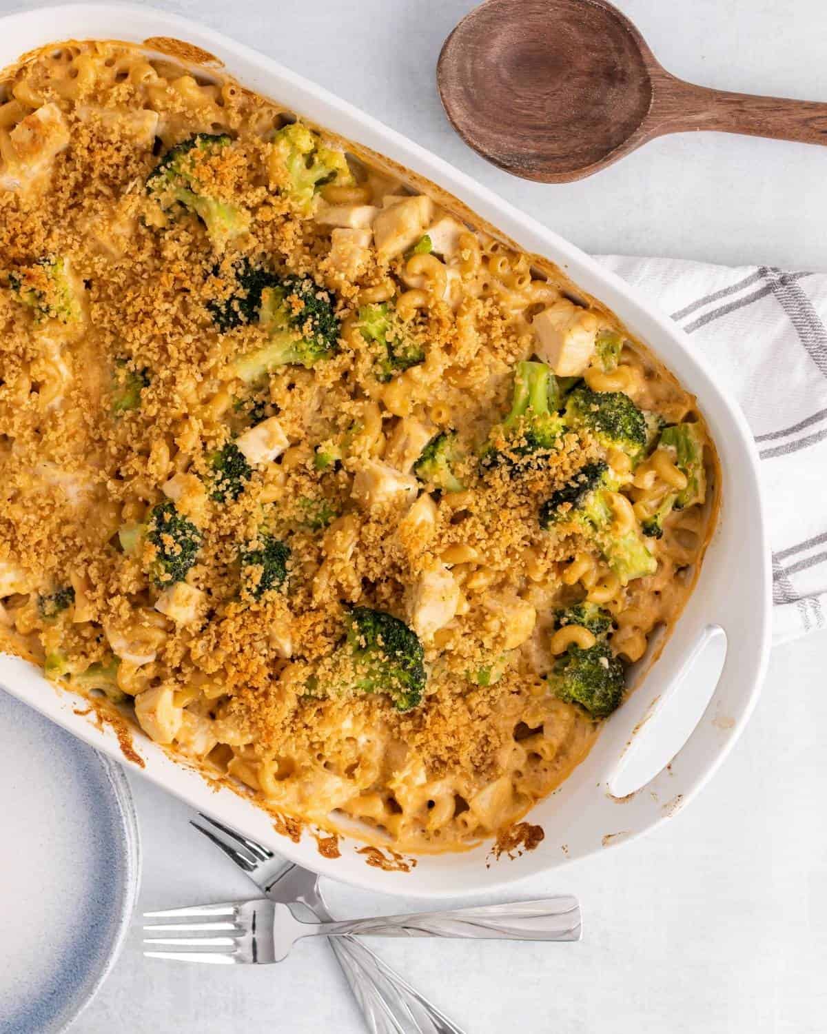 pasta bake with chicken and Broccoli