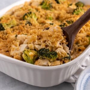 chicken broccoli bake made with pasta and no condensed soup