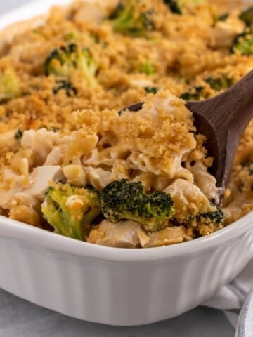 chicken broccoli bake made with pasta and no condensed soup