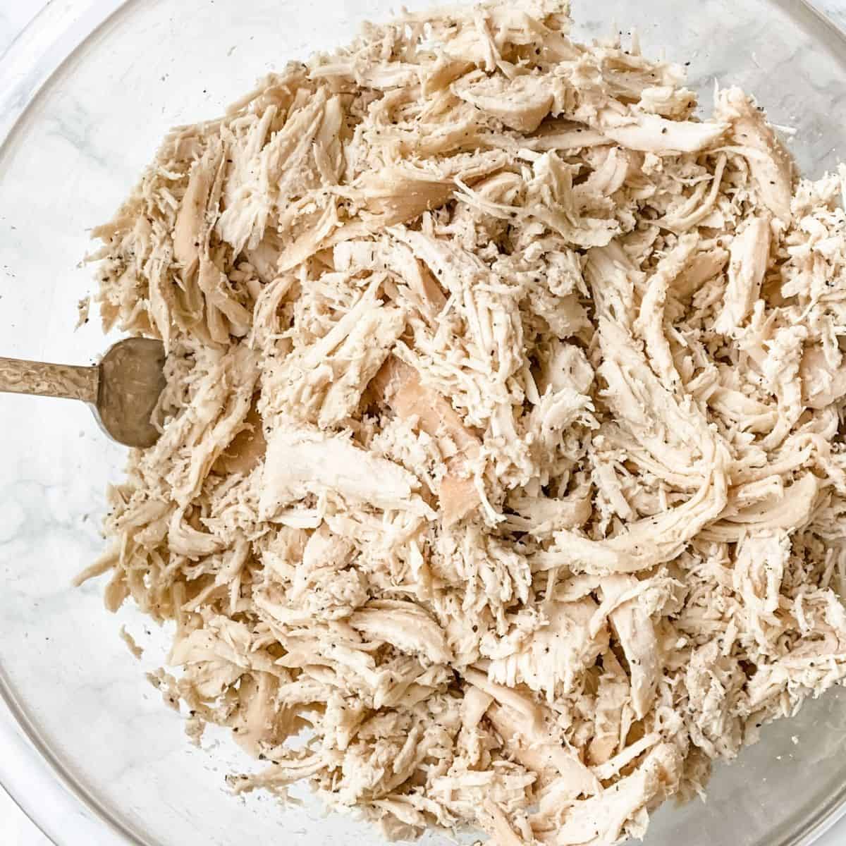 shredded chicken recipes