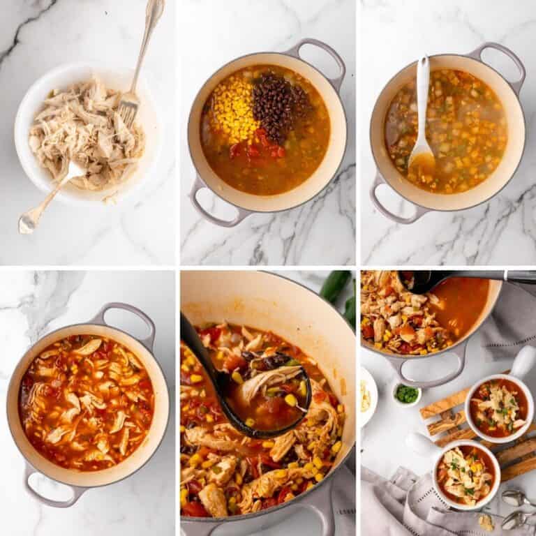 Easy Chicken Tortilla Soup - Organize Yourself Skinny
