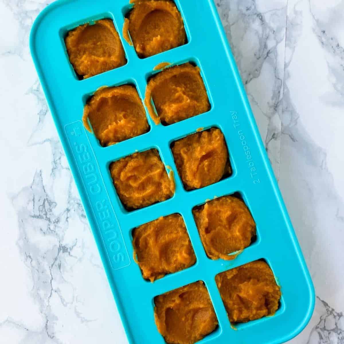 freezing pumpkin in trays